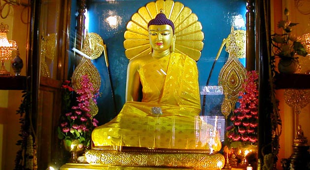 Buddha Tour