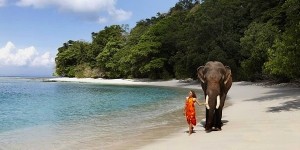 Read more about the article 2NIGHTS/3DAYS  PORT BLAIR PACKAGE